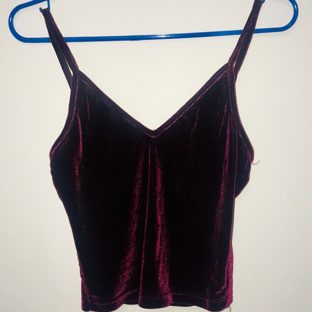Red Velvet Crop Top